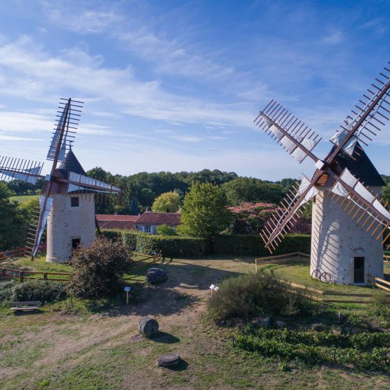 Les moulins du Terrier Marteau vue du haut