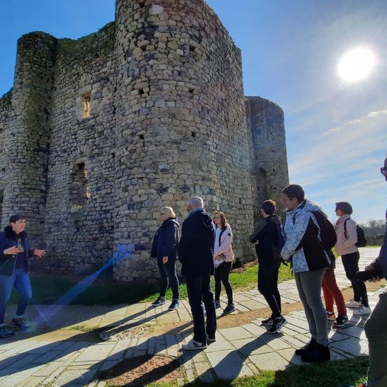 Visites guidées à la carte