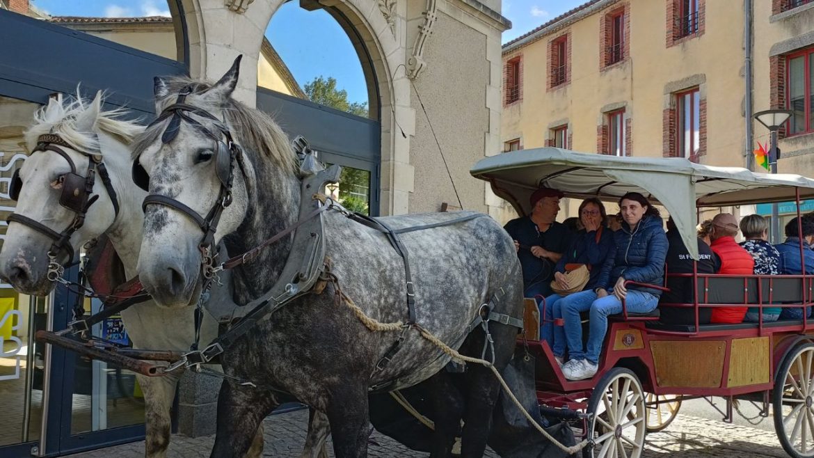 Visites originales calèches du Haut Bocage