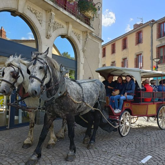 Visites originales calèches du Haut Bocage
