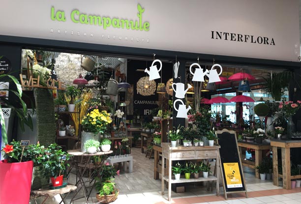 La Campanule Pouzauges