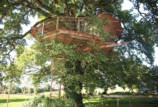 Cabane dans les arbres