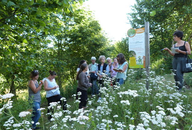 Visite des jardins