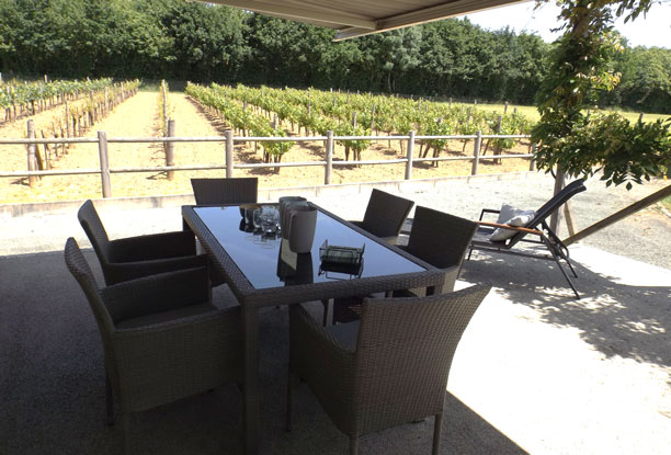 Terrasse gite avec vue vigne