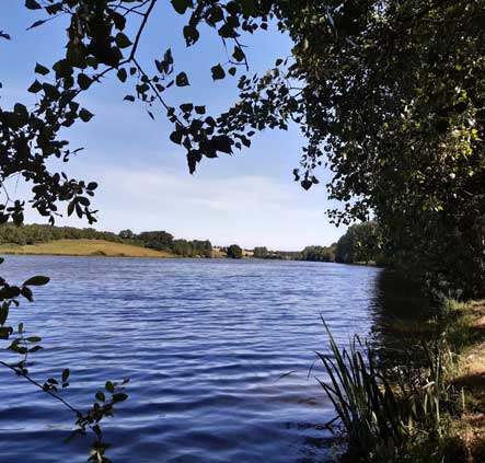 Le Lac Chavagnes les Redoux