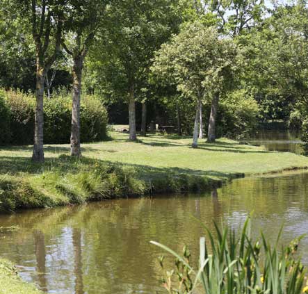 Plan d'eau des Morineaux à Saint Mesmin