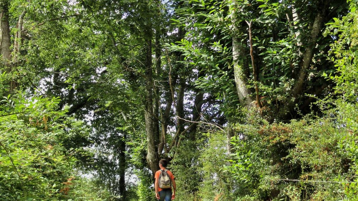 Sélection des chemins de randonnée Pays de Pouzauges