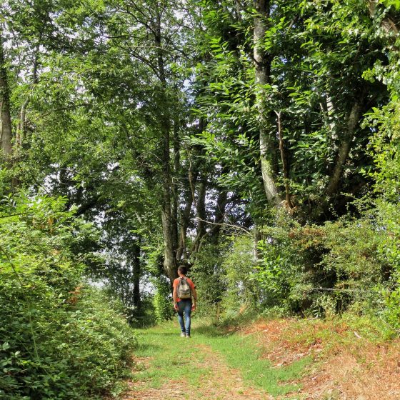 Sélection des chemins de randonnée Pays de Pouzauges