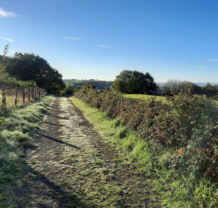 Sentier des Châtaigniers à Sèvremont