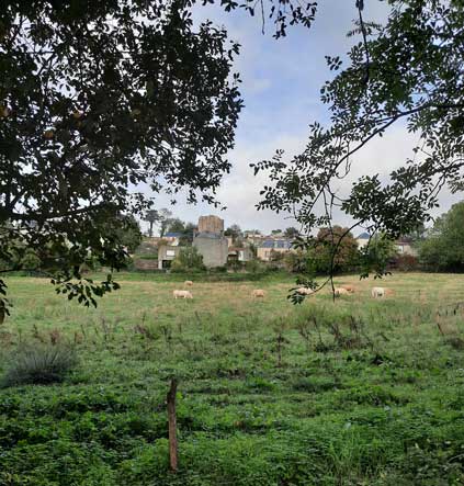 Vue sur Pouzauges depuis le circuits des meuniers