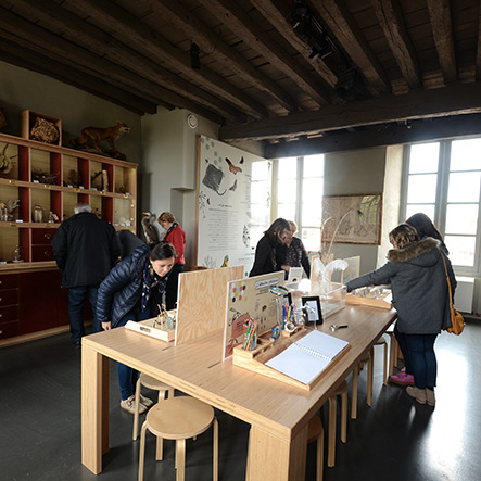 Visite du Manoir des Sciences à Réaumur