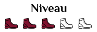 Niveau 3 pictogramme chaussures