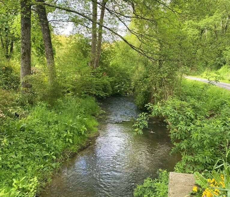 Le petit Moulin, Réaumur