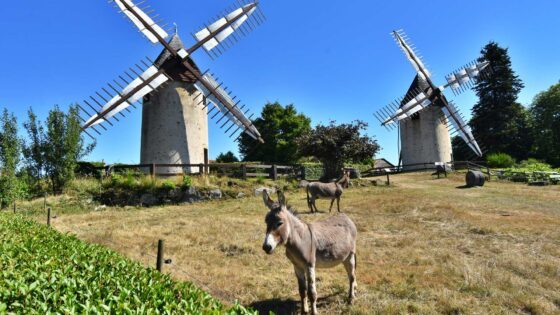 Moulins séjours groupes