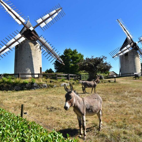 Moulins séjours groupes